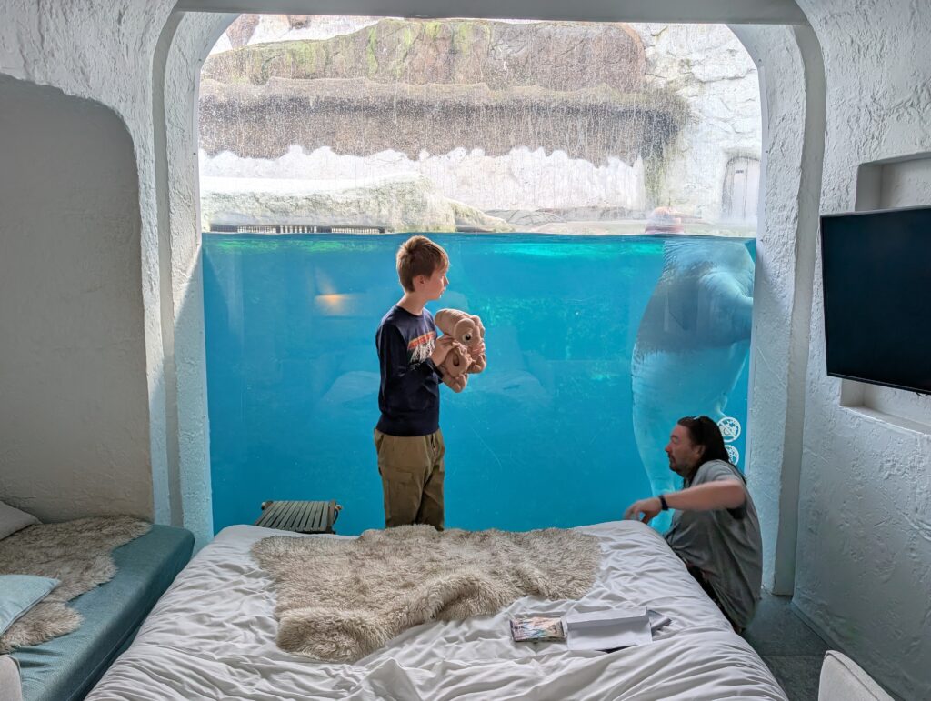 Belgium Zoo