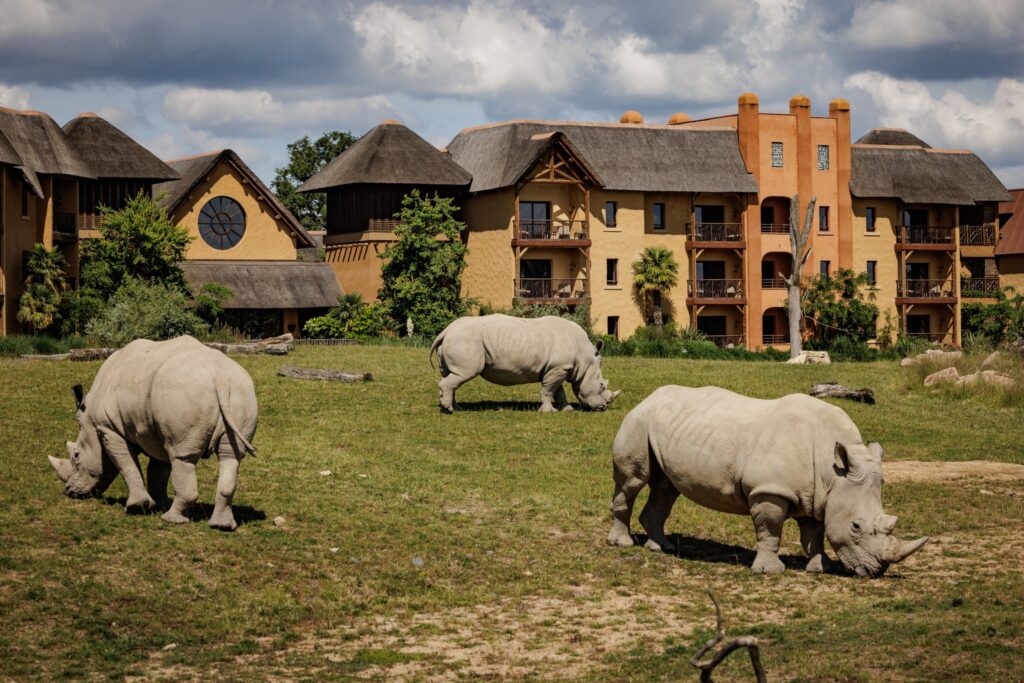 Rhinos in front of the Le Pal Savannah Reserve accommodation