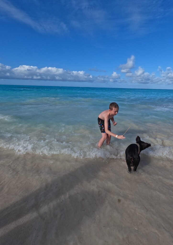 Boy feeding a pig in the sea near Nassau Bahamas