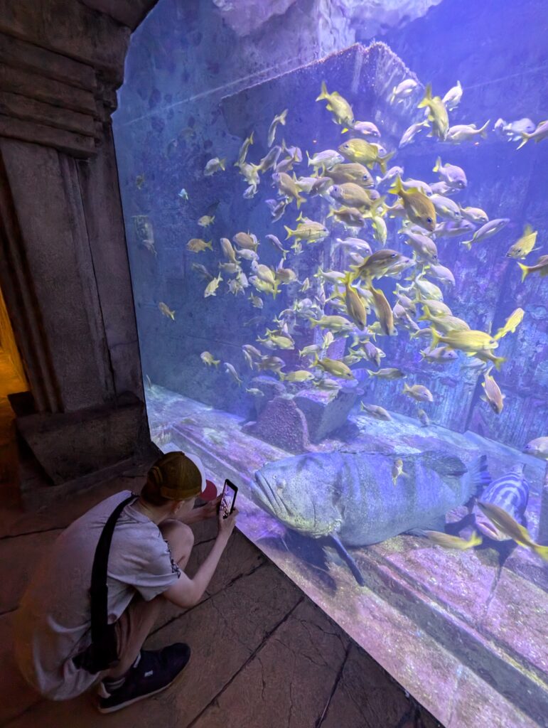Fish swimming around with a child taking a photo at The Dig Atlantis Bahamas