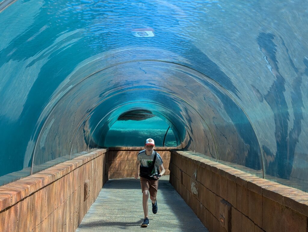 The long shark tunnel at Atlantis Bahamas