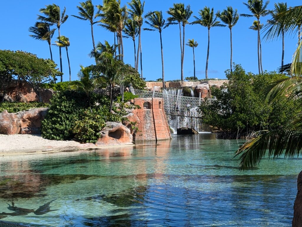 One of the numerous pools for marine life at Atlantis Bahamas
